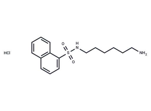 W-5 hydrochloride