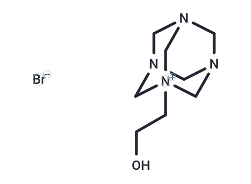 Y 11