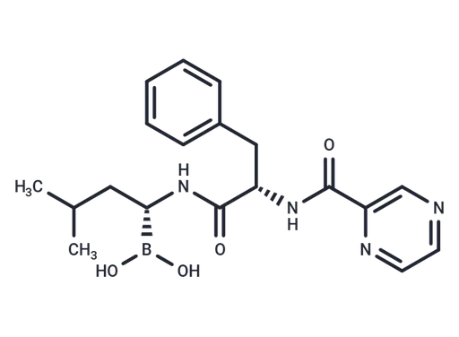 Bortezomib