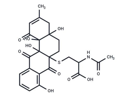 WS 009A