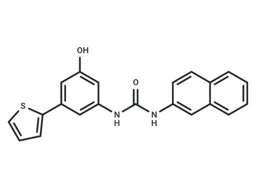 FzM1