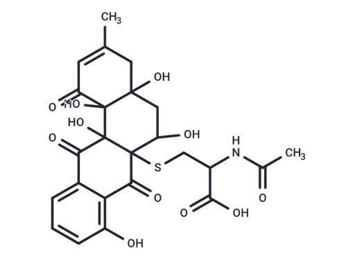 WS 009B