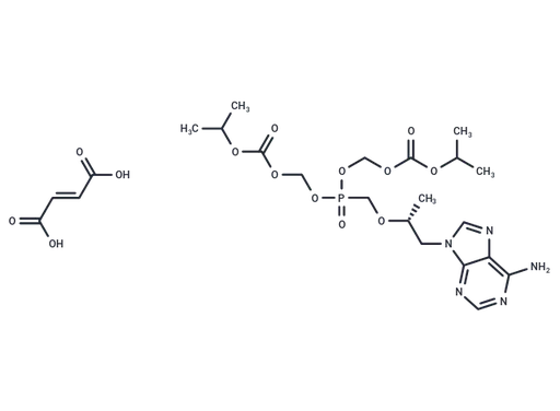 Tenofovir Disoproxil Fumarate