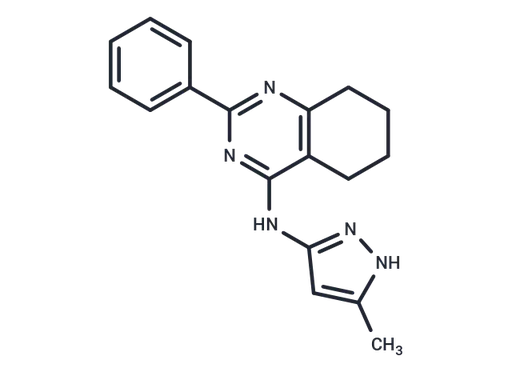 GSK3i XIII