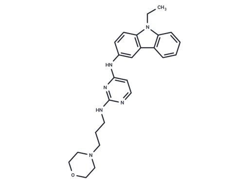EHop-016