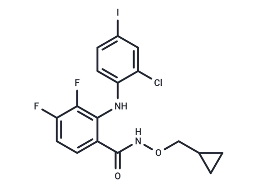 CI-1040