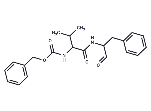 MDL-28170