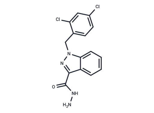 Adjudin