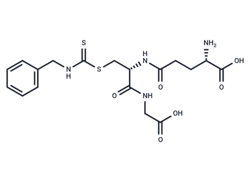 BITC-SG