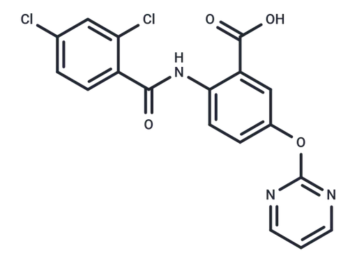BVT.13