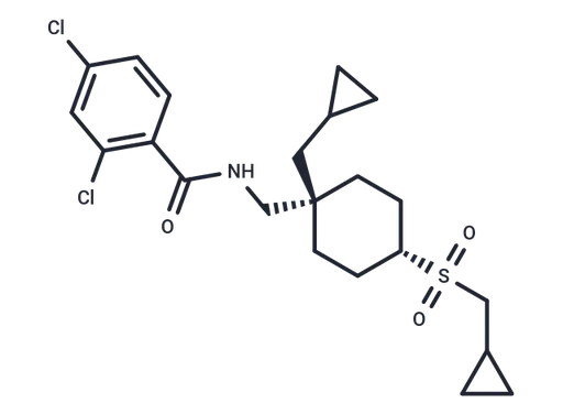 DCCCyb
