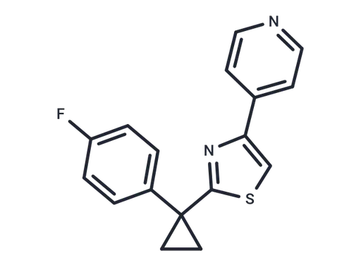 FCPT