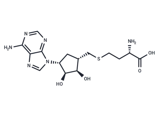 S-Aristeromycinylhomocysteine