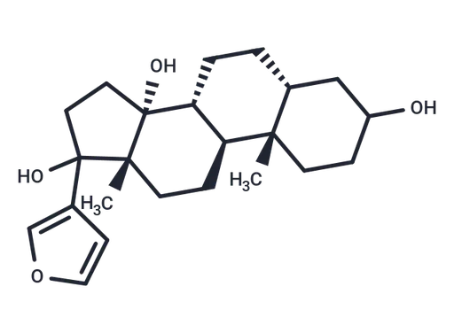 Rostafuroxin