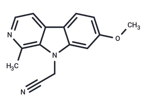 AnnH31
