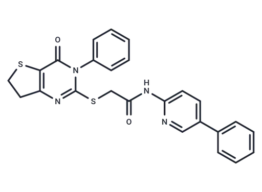 IWP L6