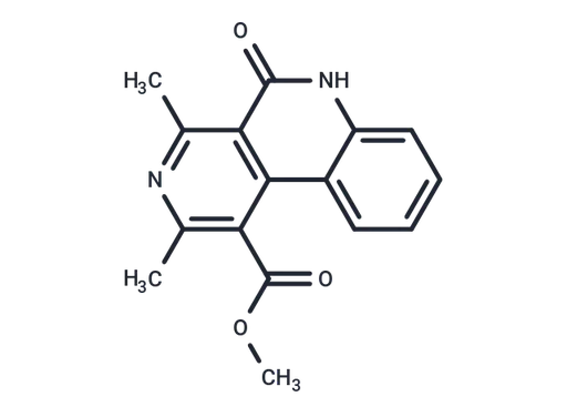 BNC-1