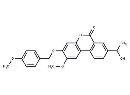 Palomid 529