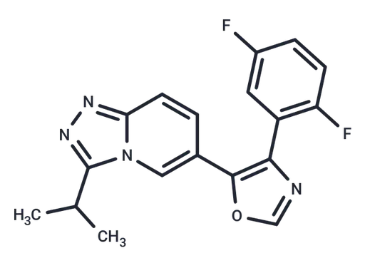CP-281384