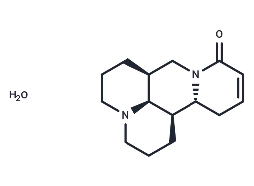 Sophocarpine monohydrate
