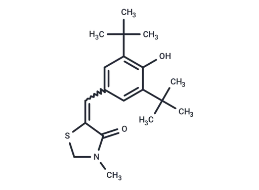 LY 25648