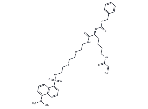 NC9 TG2 inhibitor