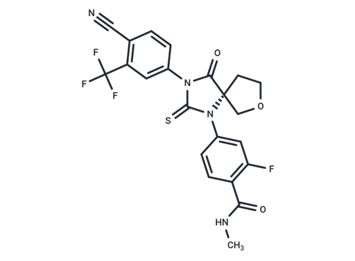 ONC1-13B