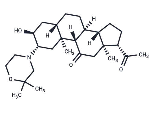 Org-21465