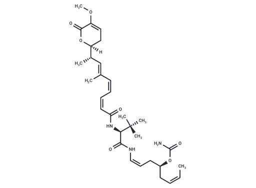 PM-060184