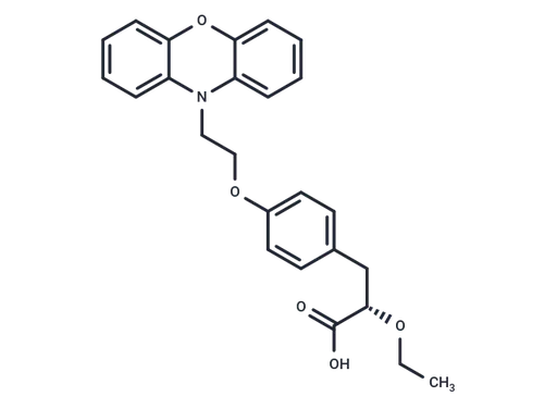 Ragaglitazar