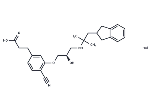 SB-423562 HCl