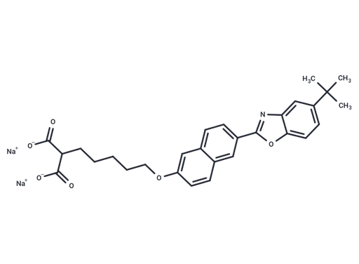 SK-216