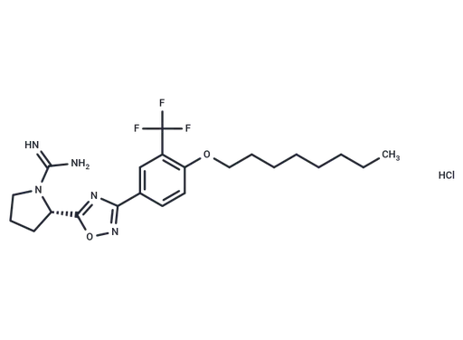 SLM6031434 HCl