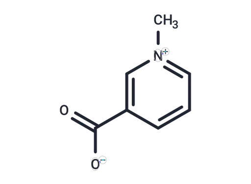 Trigonelline
