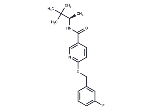 VU0404251