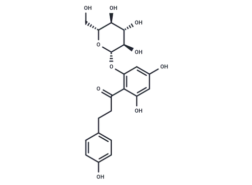 Phlorizin