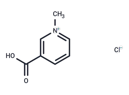 Trigonelline chloride