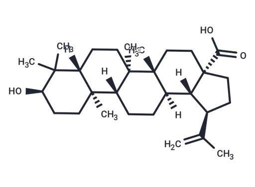 Epibetulinic acid