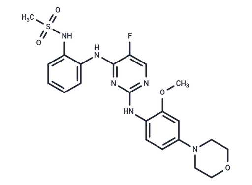 CZC-25146