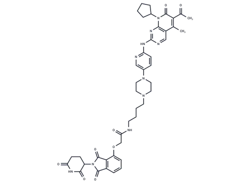 BSJ-03-204