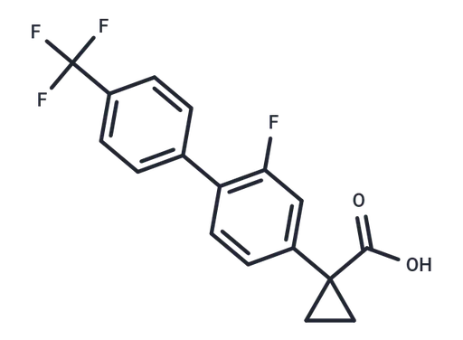 CHF-5022