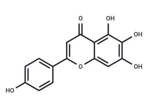 Scutellarein