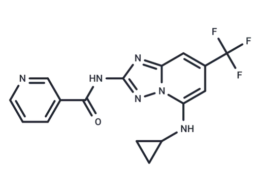 MSC 2032964A