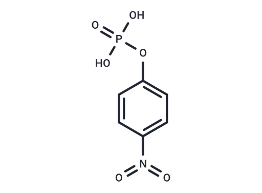 pNNP