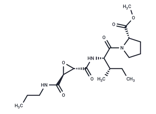 CA-074 methyl ester