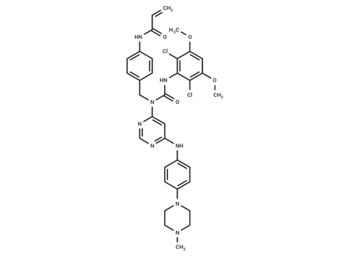 FIIN-3