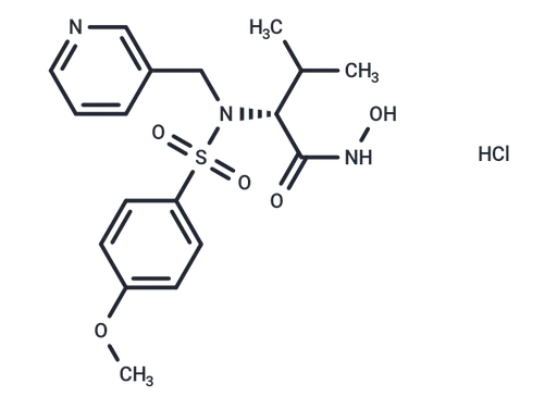 CGS 27023A