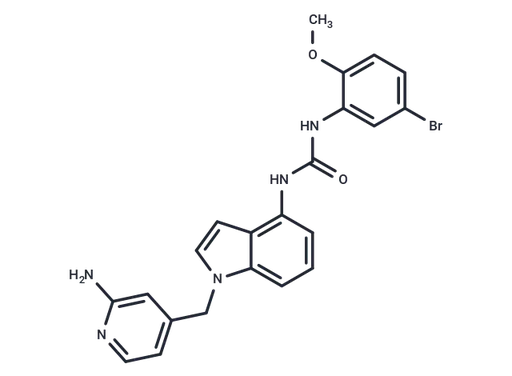 JI-101