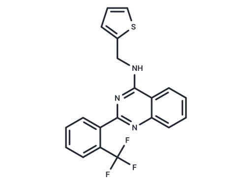 NIH-12848