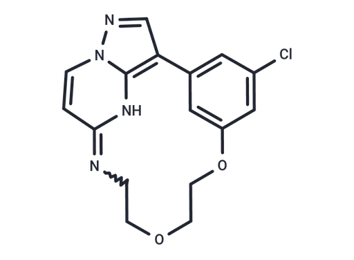 OD36